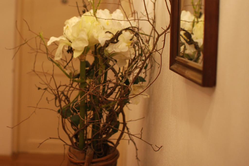 غراتس B&B Greiner المظهر الخارجي الصورة